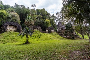Tikal Ormanı 'ndaki Antik Maya Tapınağı Harabeleri