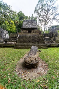 Maya Tapınağı ve Taş Çelik Tikal Arkeoloji Alanında