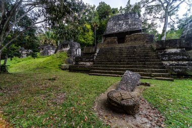 Maya Tapınağı ve Taş Çelik Tikal Arkeoloji Alanında