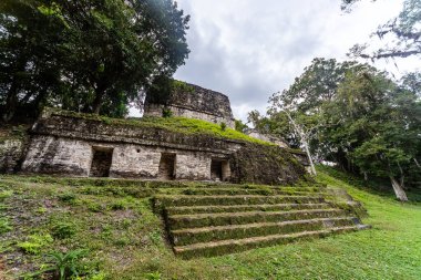 Tikal Ormanı 'ndaki Antik Maya Tapınağı Harabeleri