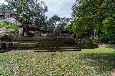Tikal Ormanı 'ndaki Antik Maya Tapınağı Harabeleri