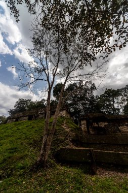 Tikal Ormanı 'ndaki Antik Maya Tapınağı Harabeleri