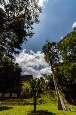 Tikal Ormanı 'ndaki Antik Maya Tapınağı Harabeleri