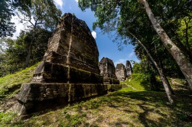 Tikal Ormanı 'ndaki Antik Maya Tapınağı Harabeleri