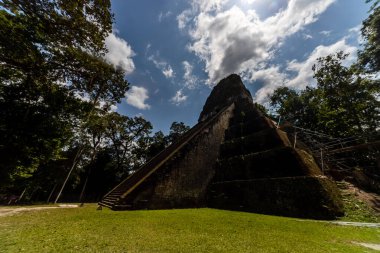 Antik Maya Piramidi Tropikal Ormanın Üzerinde Yükseliyor
