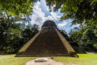 Antik Maya Piramidi Tropikal Ormanın Üzerinde Yükseliyor