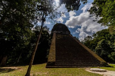 Antik Maya Piramidi Tropikal Ormanın Üzerinde Yükseliyor