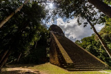 Antik Maya Piramidi Tropikal Ormanın Üzerinde Yükseliyor