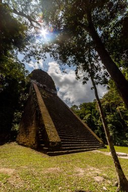 Antik Maya Piramidi Tropikal Ormanın Üzerinde Yükseliyor