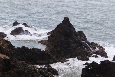 Madeira Adası 'nın engebeli volkanik kıyı şeridi