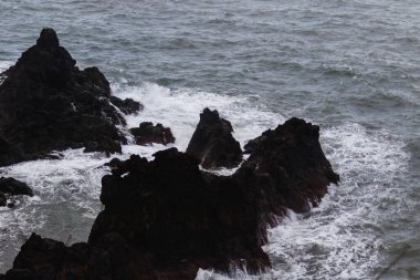 Madeira Adası 'nın engebeli volkanik kıyı şeridi