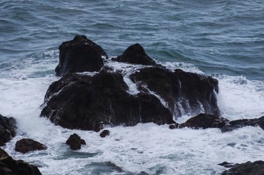 Madeira Adası 'nın engebeli volkanik kıyı şeridi