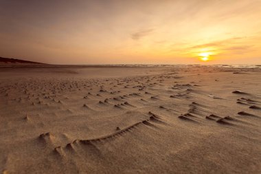 Kum desenli Curonian Tükürüğünün Üzerinde Altın Gün Batımı