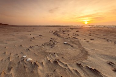 Kum desenli Curonian Tükürüğünün Üzerinde Altın Gün Batımı