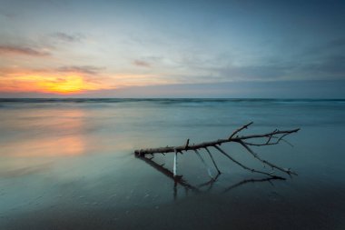 Baltık Denizi, Curonian Spit, Litvanya 'da Driftwood ile Uzun Maruziyet Günbatımı