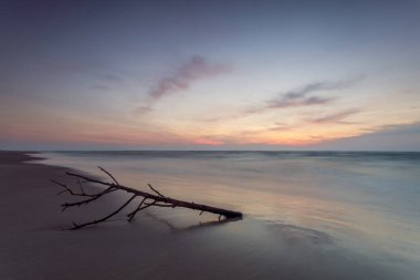 Baltık Denizi, Curonian Spit, Litvanya 'da Driftwood ile Uzun Maruziyet Günbatımı