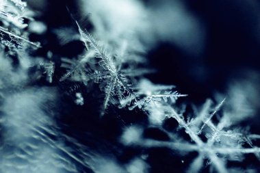 Çok Ayrıntılı Macro Kar Tanesi Soyutlaması