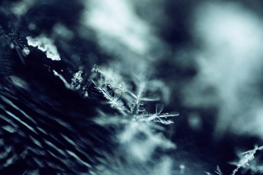 Çok Ayrıntılı Macro Kar Tanesi Soyutlaması