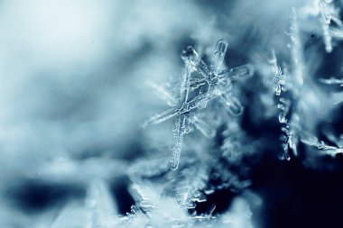 Çok Ayrıntılı Macro Kar Tanesi Soyutlaması