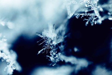 Çok Ayrıntılı Macro Kar Tanesi Soyutlaması