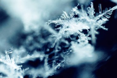 Çok Ayrıntılı Macro Kar Tanesi Soyutlaması