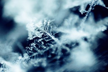 Çok Ayrıntılı Macro Kar Tanesi Soyutlaması