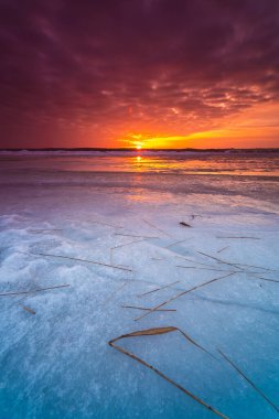 Litvanya 'daki Donmuş Curonian Gölünde Kış Günbatımı