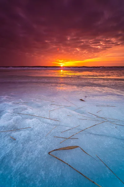 Litvanya 'daki Donmuş Curonian Gölünde Kış Günbatımı