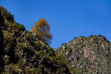 Gürcistan Kafkaslarındaki Manzaralı Dağ Vadisi