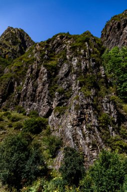 Gürcistan Kafkaslarındaki Ormanlarla Kaplanmış Dağ Kayalıkları