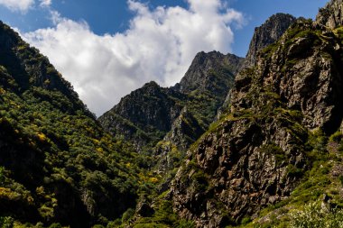Gürcistan Kafkaslarındaki Ormanlarla Kaplanmış Dağ Kayalıkları
