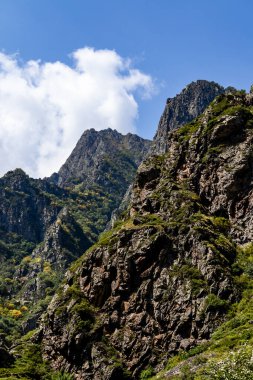 Gürcistan Kafkaslarındaki Ormanlarla Kaplanmış Dağ Kayalıkları
