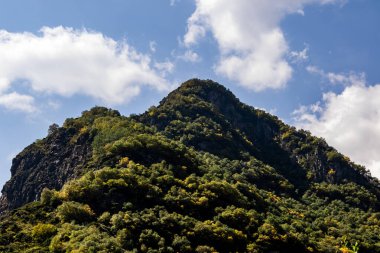 Gürcistan Kafkaslarındaki Ormanlarla Kaplanmış Dağ Kayalıkları