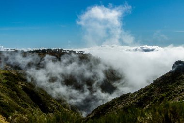 Madeira Adası 'ndaki Puslu Dağ Vadisi