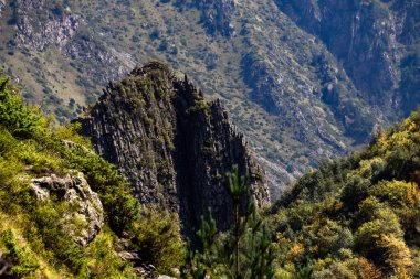 Gürcistan 'daki Dağ yamaçlarındaki Altın Gün Işığı
