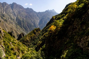 Gürcistan 'daki Dağ yamaçlarındaki Altın Gün Işığı