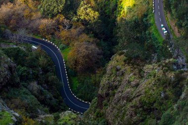 Winding Mountain Road Through Lush Valley in Madeira