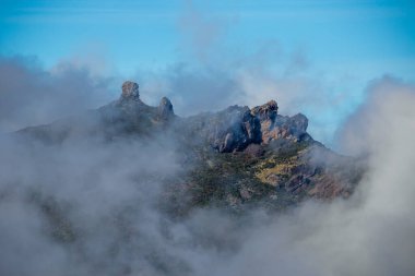Madeira 'da Bulaşıcı Flora ile Puslu Dağ yamacı