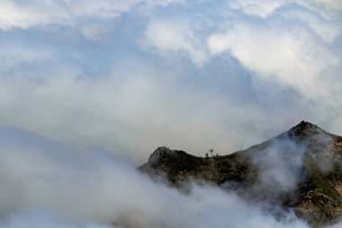 Madeira Adası 'ndaki Puslu Dağ Tepeleri