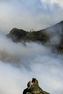 Madeira Adası 'ndaki Puslu Dağ Tepeleri