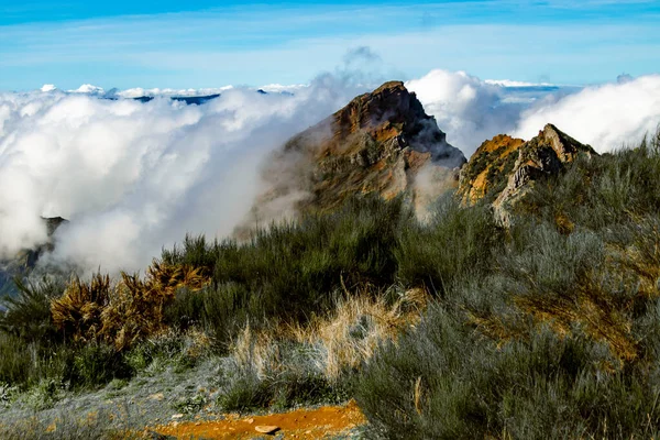 Bulutların üzerindeki Dağ Vadisi, Madeira Adası