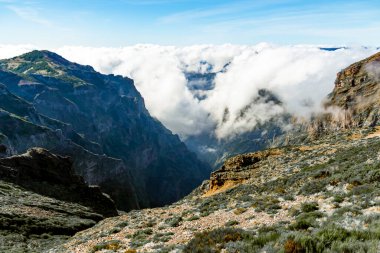 Madeira Adası 'ndaki Puslu Dağ Tepeleri