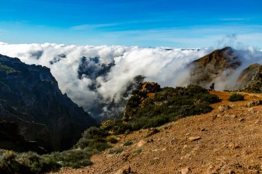 Madeira Adası 'ndaki Puslu Dağ Tepeleri