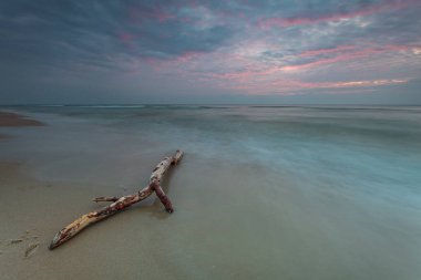 Sakin Baltık Denizi Sahili 'nde Sürüklenen Dalgalar, Curonian Spit, Litvanya