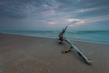 Sakin Baltık Denizi Sahili 'nde Sürüklenen Dalgalar, Curonian Spit, Litvanya