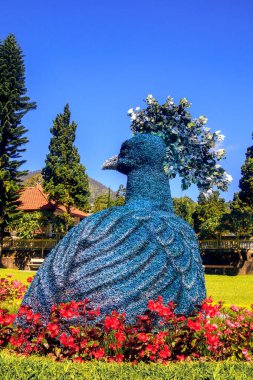 Kırmızı Çiçekler ve Uzun Çamlarla Çiçek Bahçesinde Tavuskuşu Toperi Heykeli