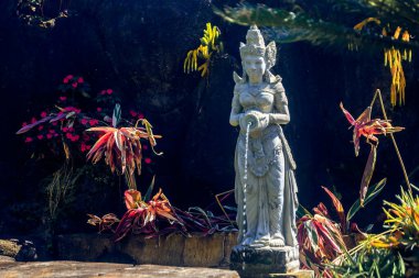 Tropikal bitkilerin ve Karanlık Kaya Platosu 'nun ortasındaki Zarif Tanrı' nın Huzur Bahçesi Taş Heykeli.