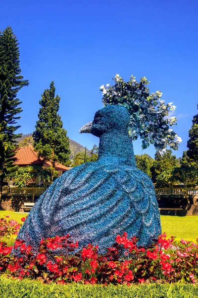 Kırmızı Çiçekler ve Uzun Çamlarla Çiçek Bahçesinde Tavuskuşu Toperi Heykeli