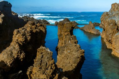 Madeira 'daki Rocky Kıyı Manzarası