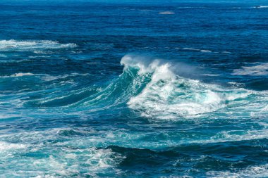 Majestic Okyanus Dalgası Madeira 'da Kayalara Çarpıyor